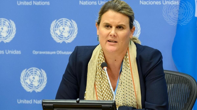 Dr Edwards said that items on her list included a range of restraints from cage beds and interrogation restraints, known as 'tiger chairs'