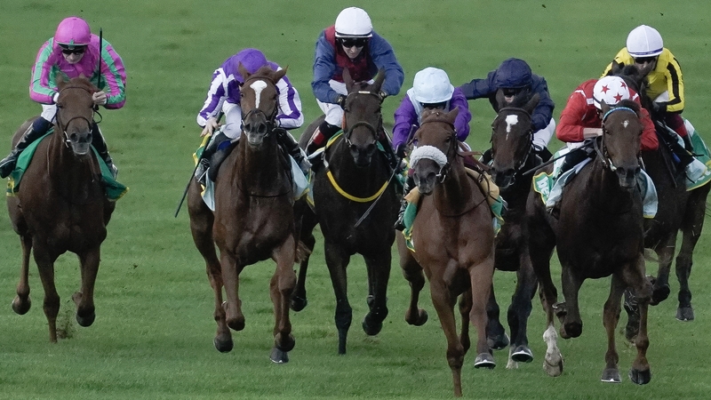 Ryan Moore and Ylang Ylang (3R, dark blue) stayed on best