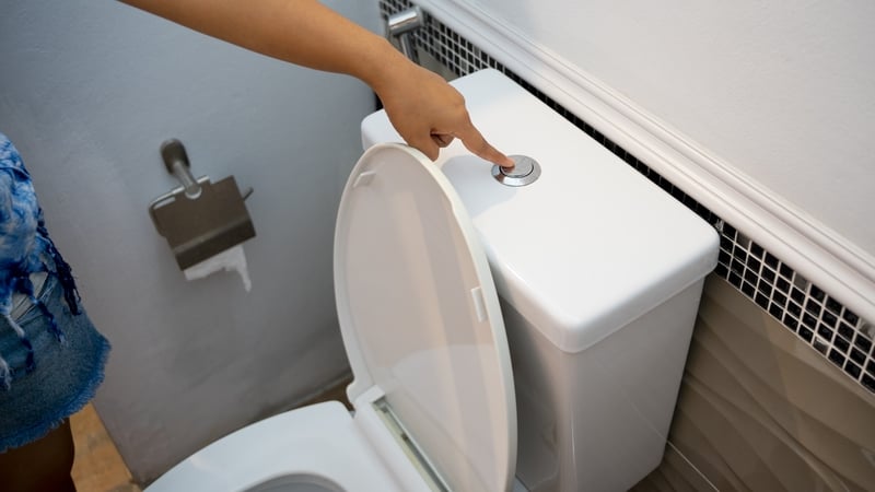 Whether labelled as 'flushable' or not, wipes should never be disposed of in toilets (file image)