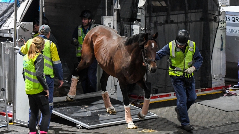 Okita Soushi arriving in Australia