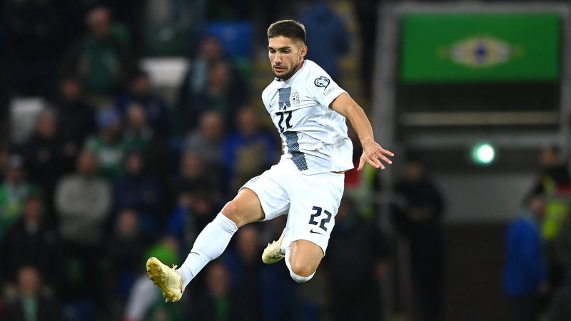 Adam Cerin's early goal was enough for Slovenia in Belfast