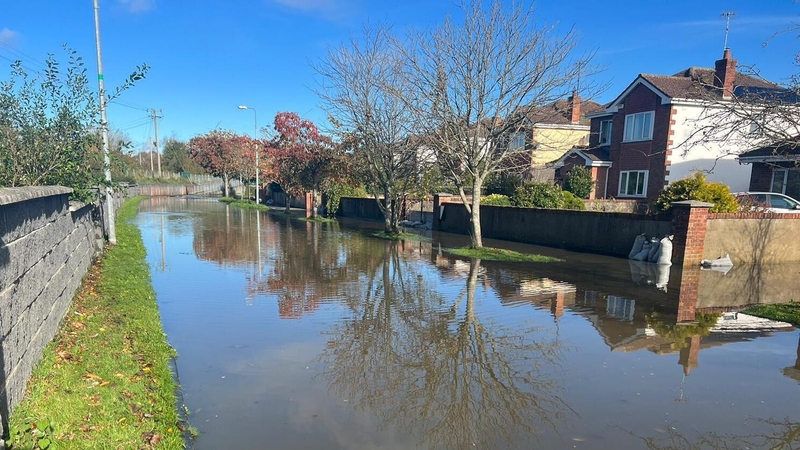 Iarrachtaí ar bun i gCo. na Mí agus Lú tithe a shábháil ó thuilte