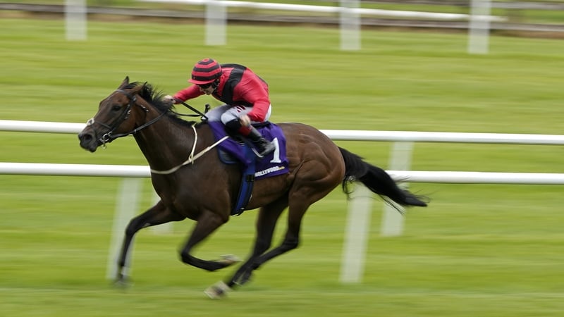 Mutasarref en route to a win at the Curragh in 2022