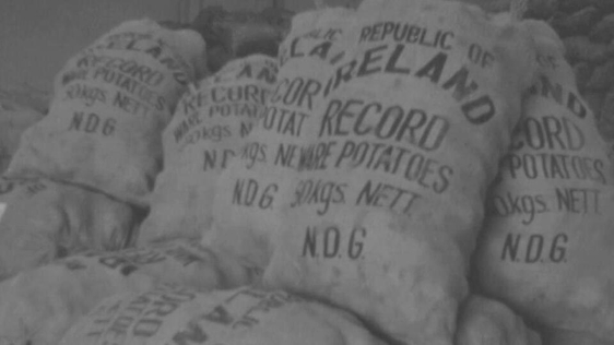 Potatoes (1973)
