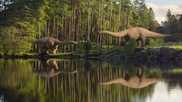 Life on Our Planet looks like perfect Sunday afternoon viewing