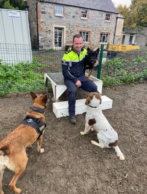 Paw Patrol - Garda training school for dogs