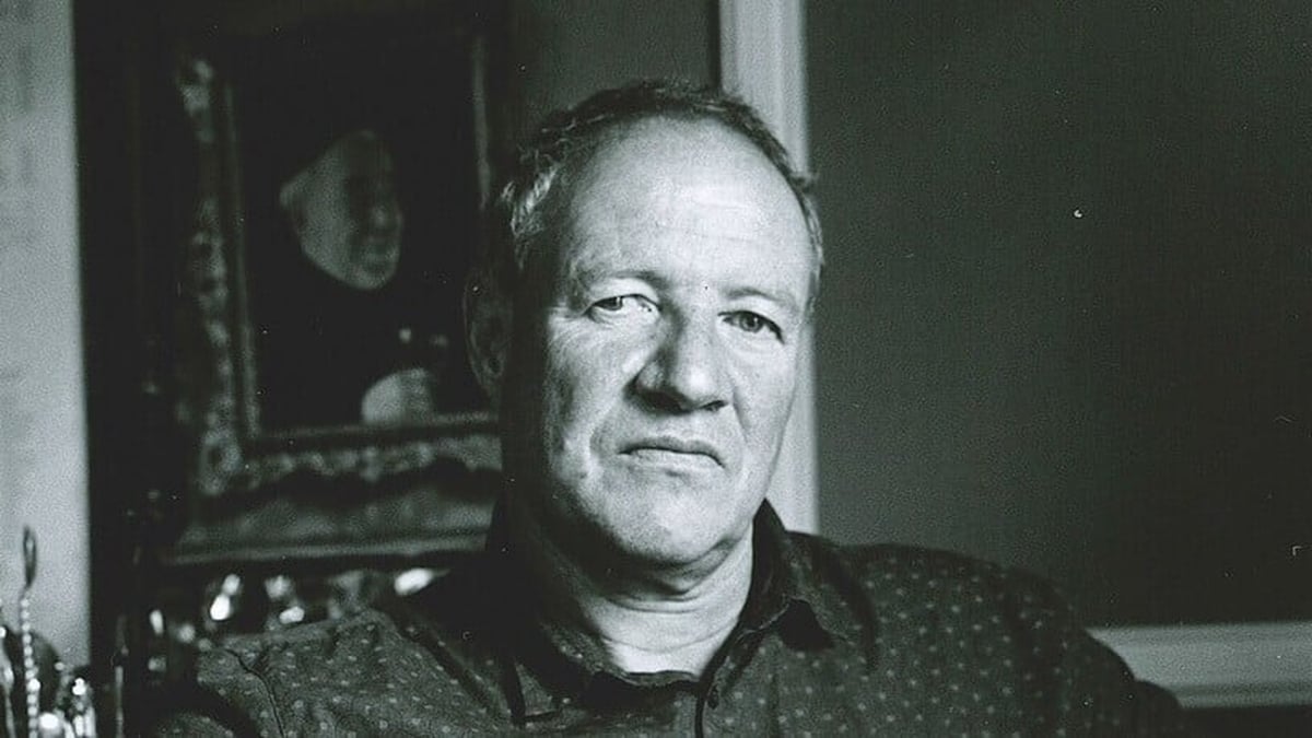 Mr Hoo, by John O'Donnell