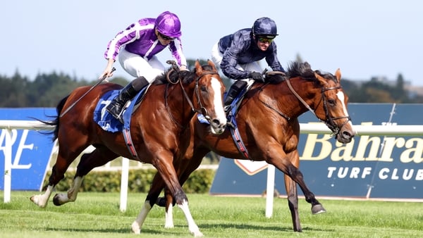 A half-brother to Broome and Point Lonsdale, Diego Velazquez (near side) should improve for the step up in trip at Chantilly