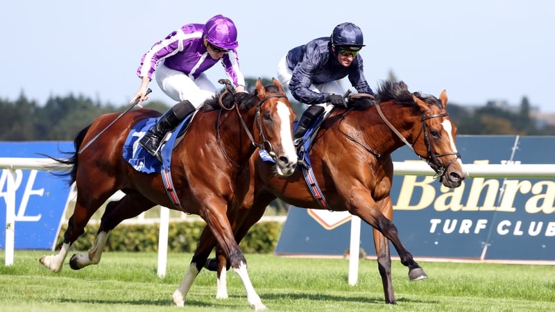 A half-brother to Broome and Point Lonsdale, Diego Velazquez (near side) should improve for the step up in trip at Chantilly