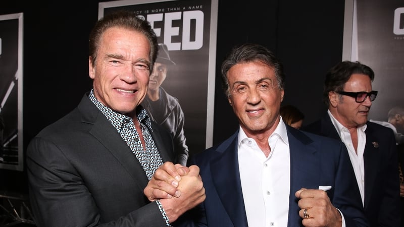 Arnold Schwarzenegger says he tool the competitiveness "to the extreme" Sylvester Stallone