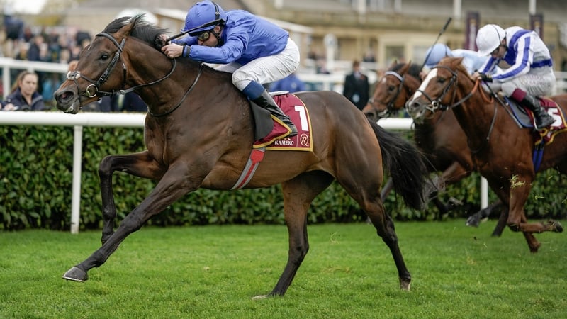 Ancient Wisdom won four of his five starts as a juvenile, culminating in Group One glory in the Futurity Trophy