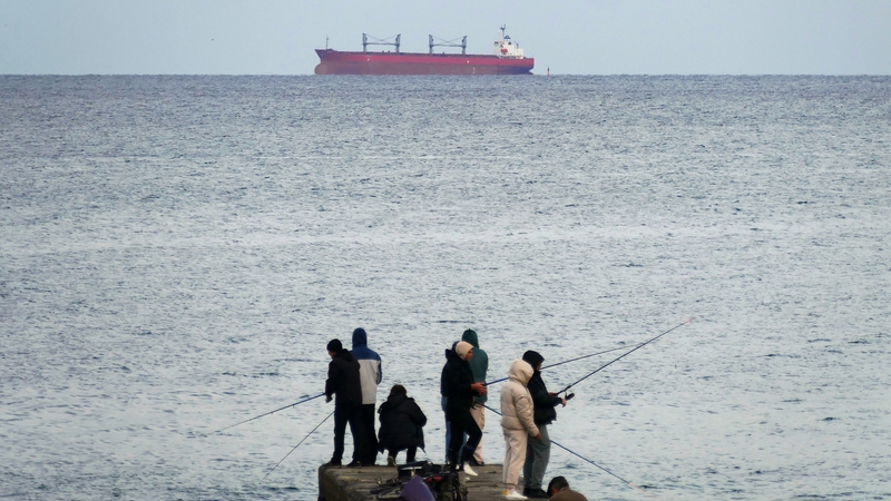 A bulk carrier sails towards Odesa earlier this month