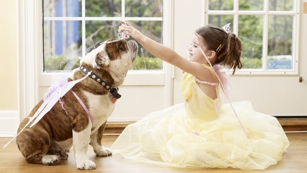 'We don't fully understand the goings on of our dogs and what goes on in their heads, but we've co-evolved'. Photo: Getty Images