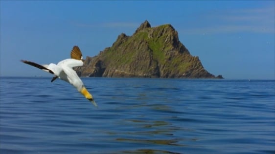 Surveying The Sea, 2018