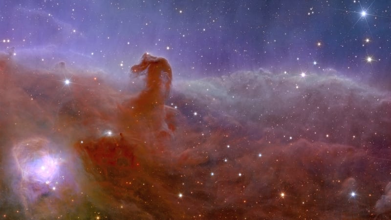 The gallery includes images of the Horsehead Nebula and part of the famous Orion constellation