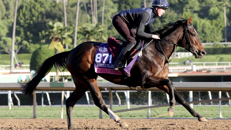 Porta Fortuna prepping for her Breeders' Cup tilt