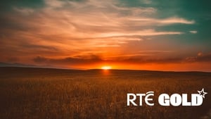 Gold Sunrise show image