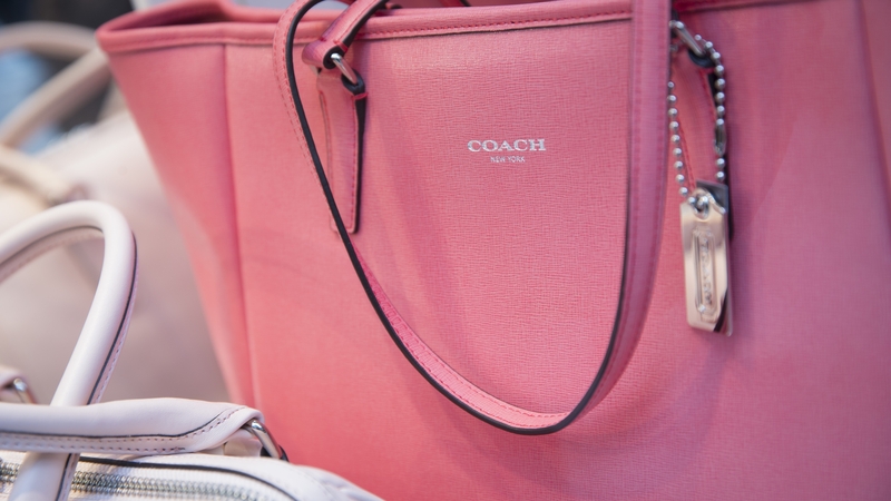 Tapestry wanted to buy Capri to create a US luxury giant that could compete better with larger European rivals by bringing brands Coach, Kate Spade, Versace, Jimmy Choo and Michael Kors under one roof