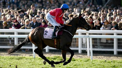 A Plus Tard going to post for the Gold Cup in March