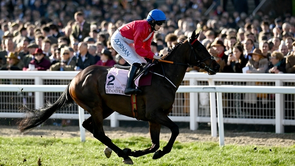 A Plus Tard going to post for the Gold Cup in March