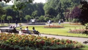 Park Bench: A valuable life lesson? show image
