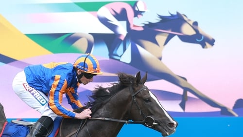 Auguste Rodin will not head off to stud