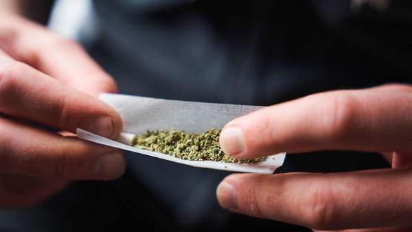 The cannabis trade is Europe's largest drug market