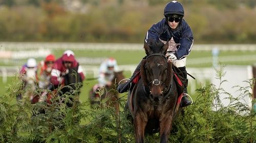 Foxy Jacks won the Glenfarclas Cross Country Handicap Chase on his penultimate start