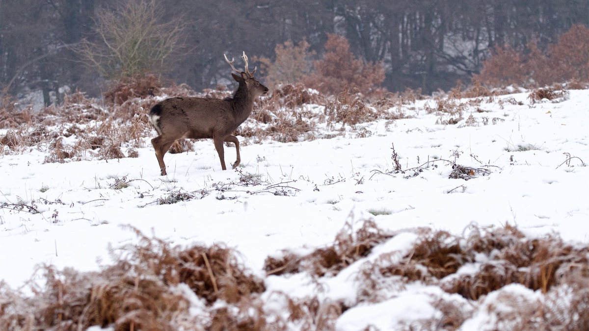 Who’s watching whom?