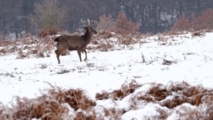 Who’s watching whom? show image