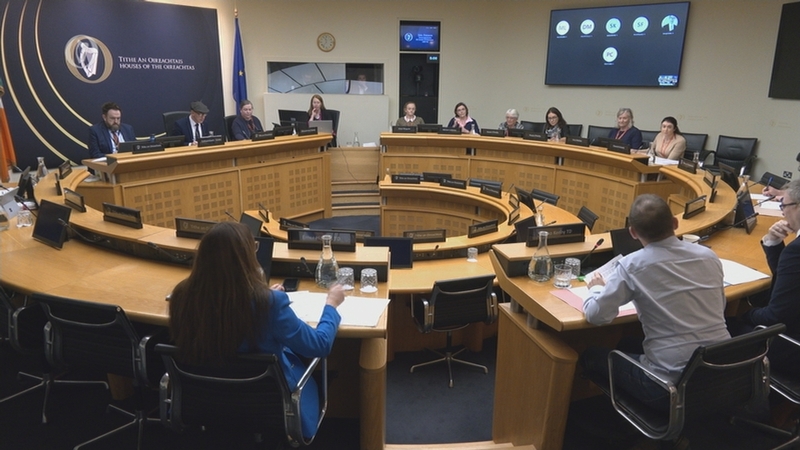 The Joint Committee on Assisted Dying was examining the potential impact legalising assisted dying could have on palliative care (File photo)