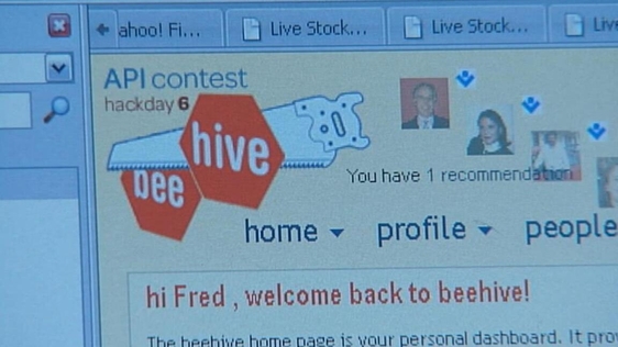 Beehive, IBM Social Networking Site, 2008