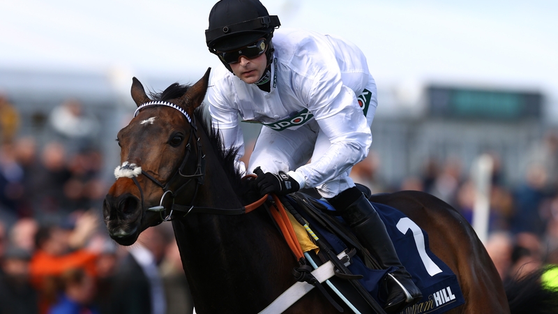 Constitution Hill missed the Cheltenham Festival last year