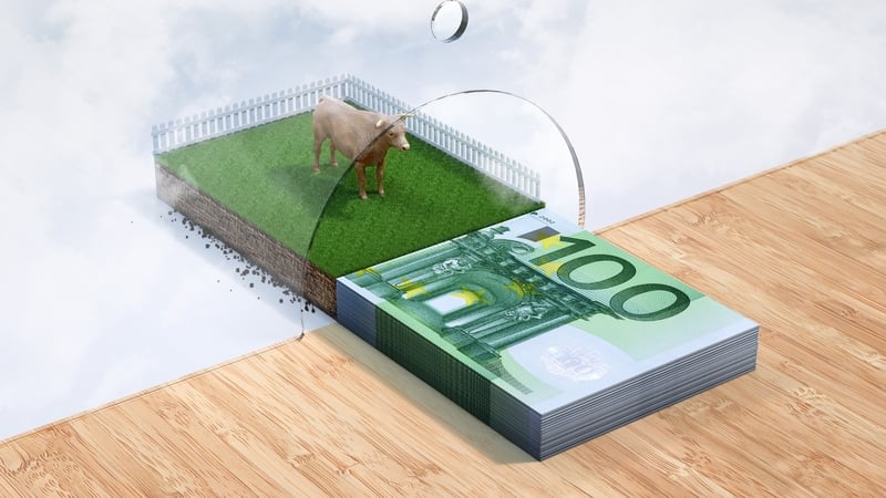 €510.9m in payments will be made to 110,499 farmers under the Basic Income Support for Sustainability (BISS) and Complementary Redistributive Income Support for Sustainability (CRISS) schemes