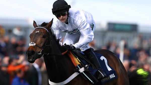 Constitution Hill has had just one run this season