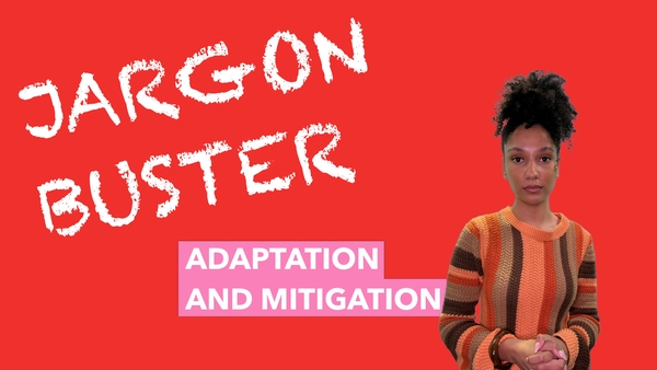 What is the time-sensitive relationship between adaptation and mitigation?