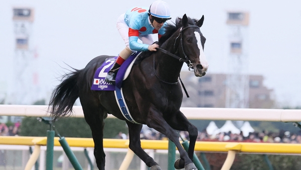 Equinox now stands at Shadai Stallion Station for a fee of ¥20m (€124,000)