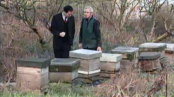 Reporter Damien Tiernan and beekeeper Jack Phelan with beehives in Troyswood, County Kilkenny, 1999.
