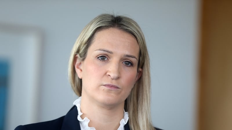 Minister Helen McEntee said that the the Data and Research Unit in her Department would draft the report