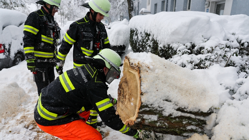 Firefighters dealing with a tree that fell onto a road and footpath following heavy snowfall