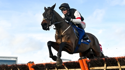 Flooring Porter will head back to Leopardstown