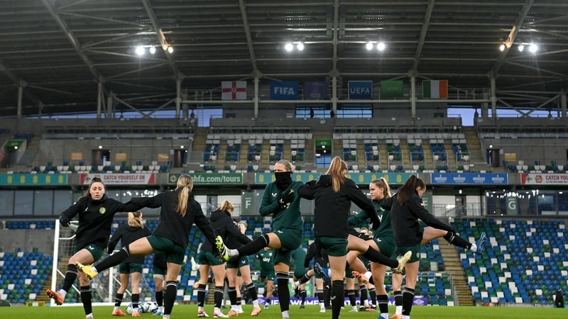 Republic of Ireland players in training at Windsor Park