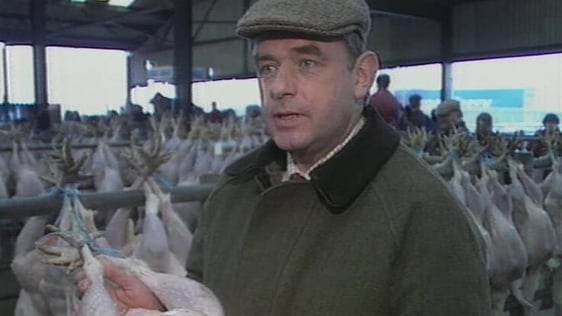 Turkey market in Ashbourne, County Meath (1993)