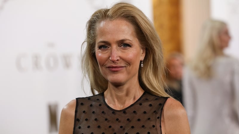 On the reboot, Anderson said: "Whether I am involved in it is a whole other thing. I'm not saying no"