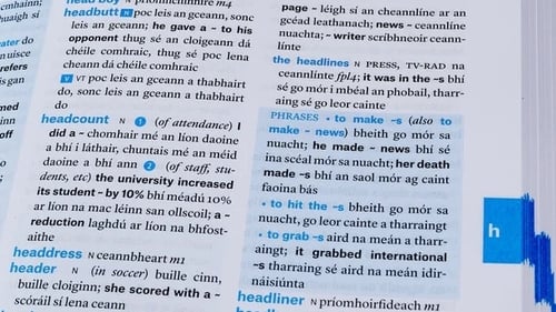 A page from the 2020 Concise English-Irish Dictionary