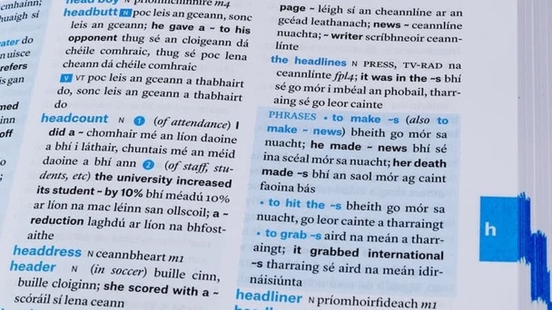 A page from the 2020 Concise English-Irish Dictionary