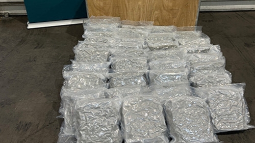 36kg of cannabis with an estimated value of €720,000 seized by Revenue officers at Dublin Port today