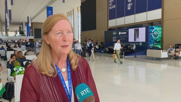 Chair of the Climate Change Advisory Council, Marie Donnelly, speaking at COP28
