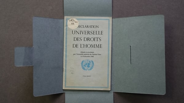 The Universal Declaration of Human Rights was one of the first achievements of the United Nations