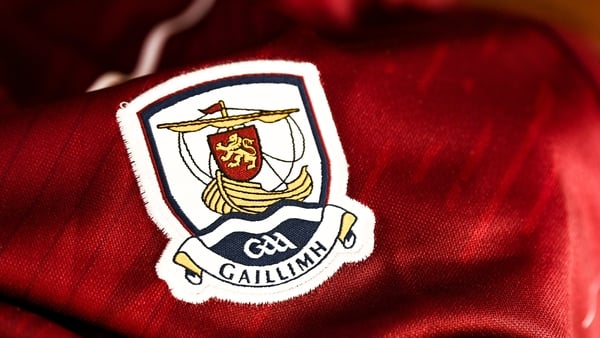 Galway hurling board purchased over 100 acres of land near Athenry at the height of the Celtic Tiger period and had hoped to develop a state-of-the-art training complex worth about €8m